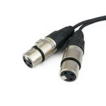 XO04300 - 02