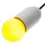 NT09700 - 03