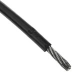 NY25300 - 01
